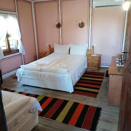 Trayanova Guest house